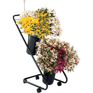 Prod-Floral-100118419-bd2-2