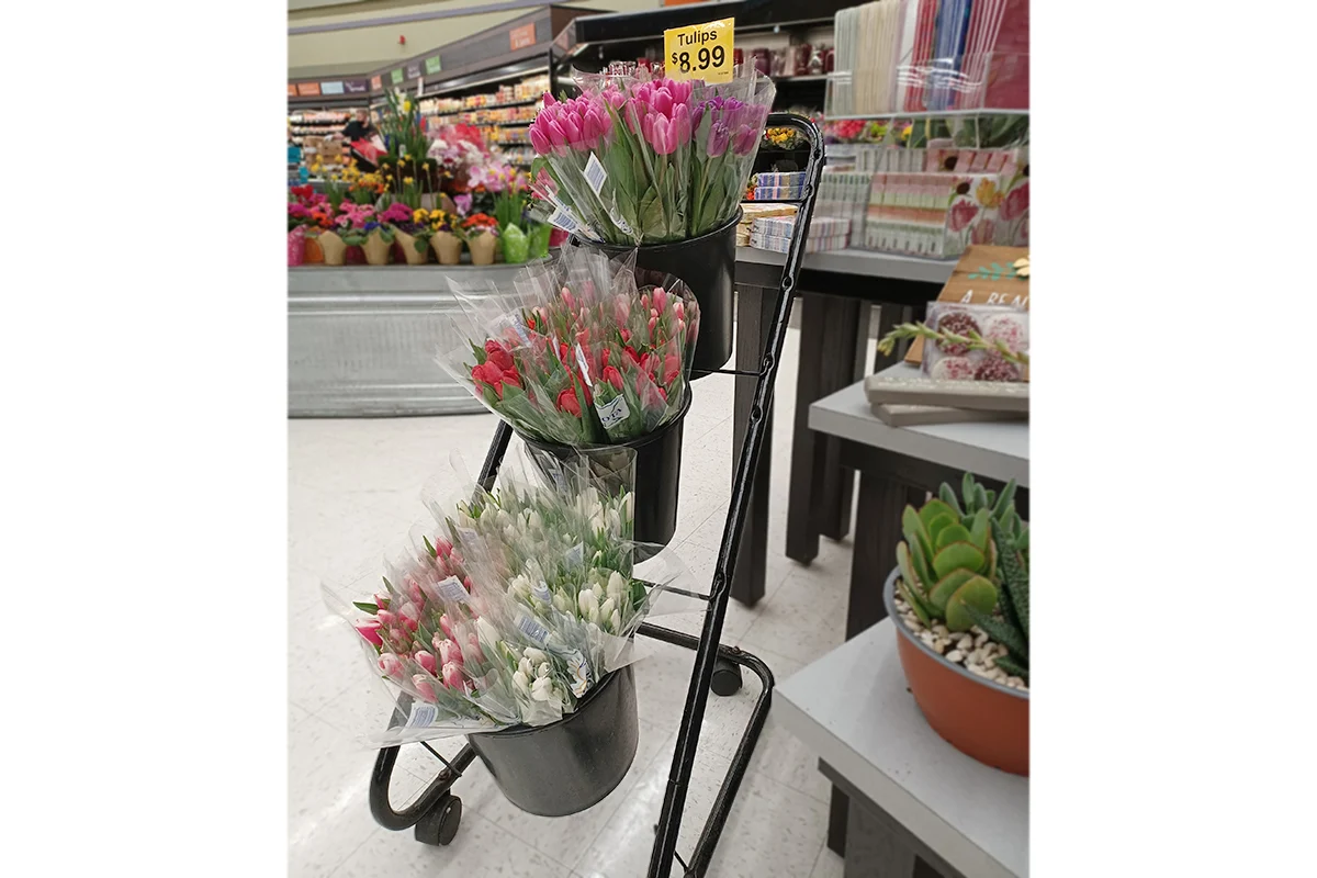 Mobile Grower Shipper Bucket Display