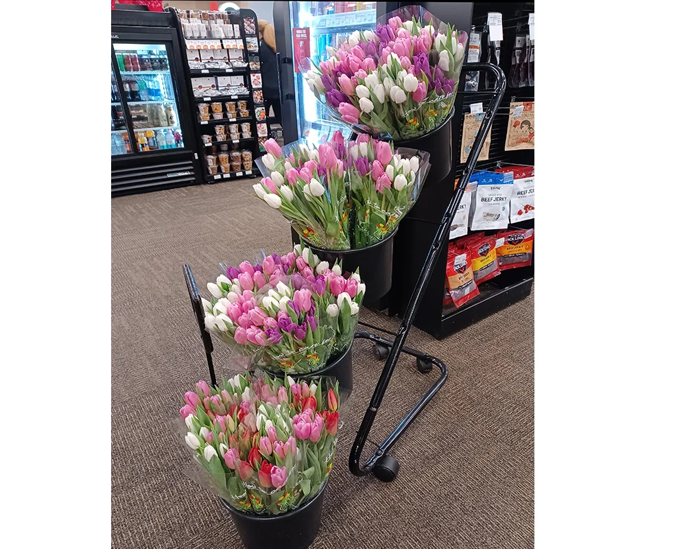 Mobile Grower Shipper Bucket Display