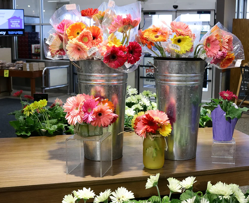 Metal Vases & Buckets - Silver or Black