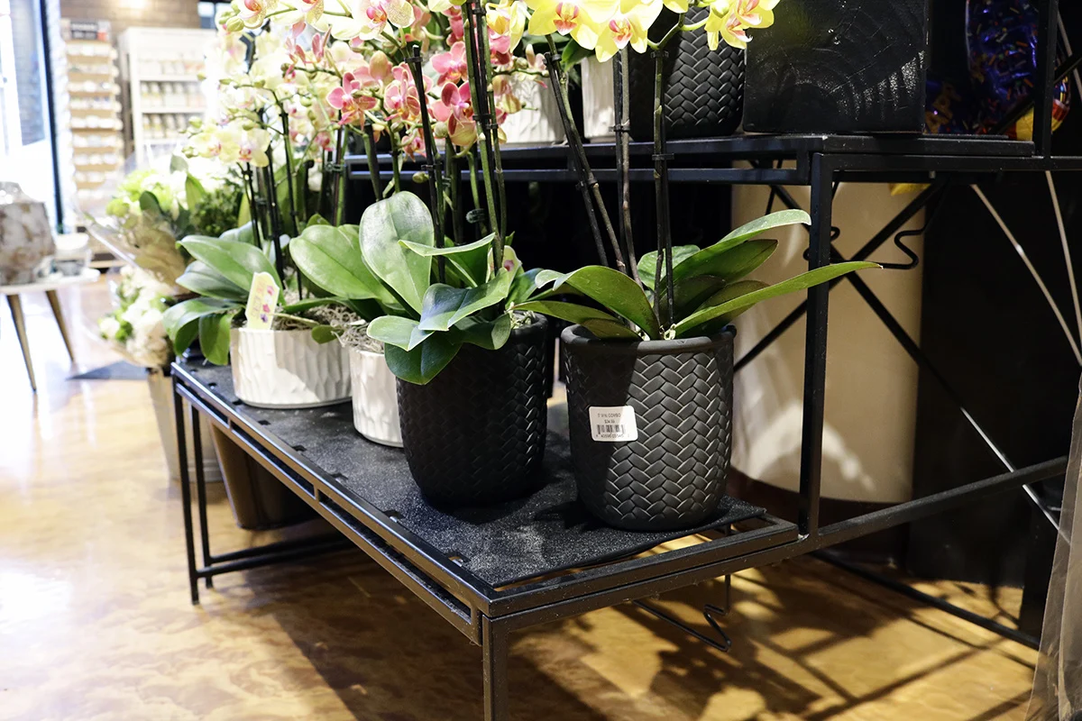 Sleek Island - Silver or Black Metal Buckets