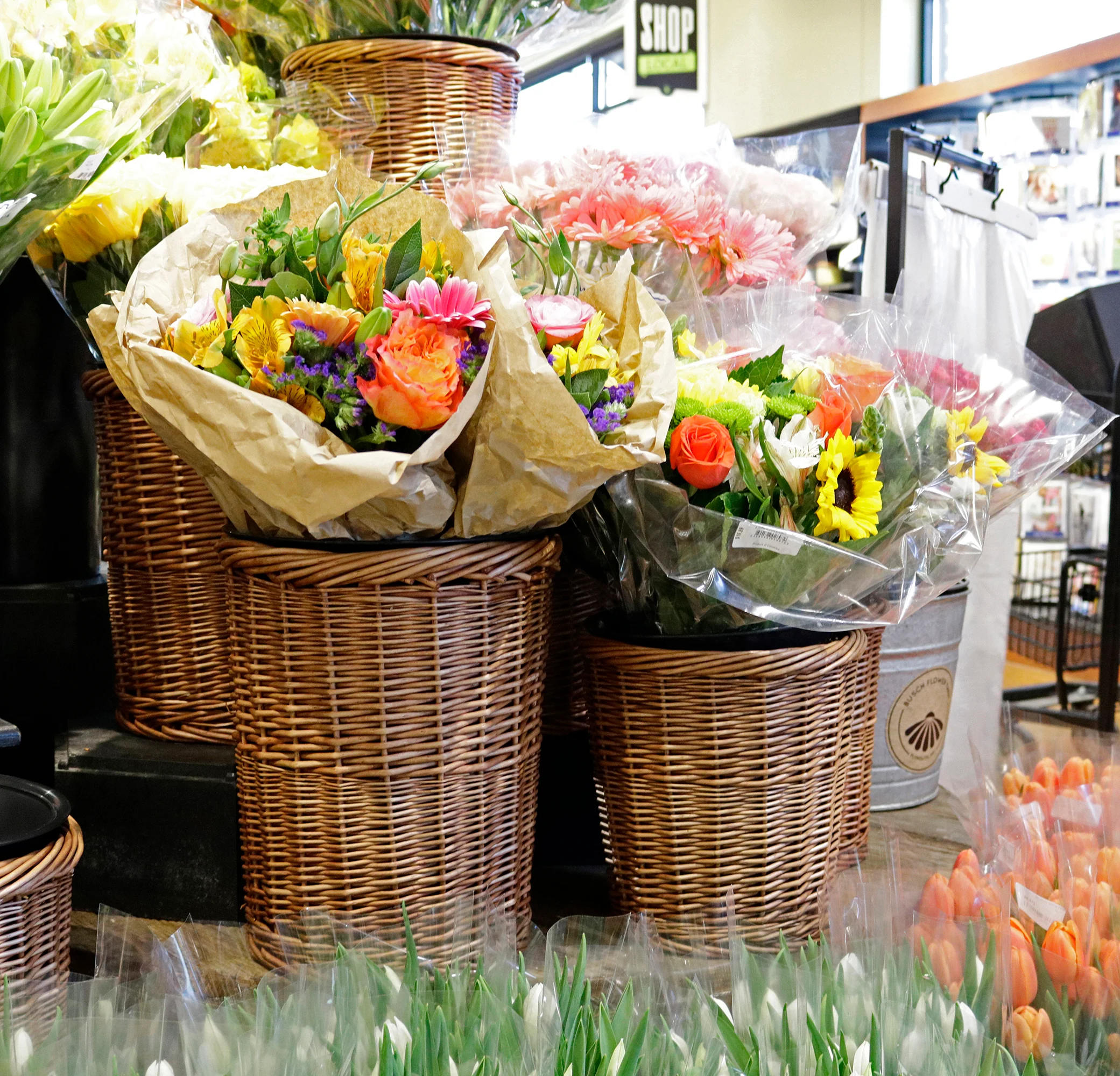 Willow Baskets