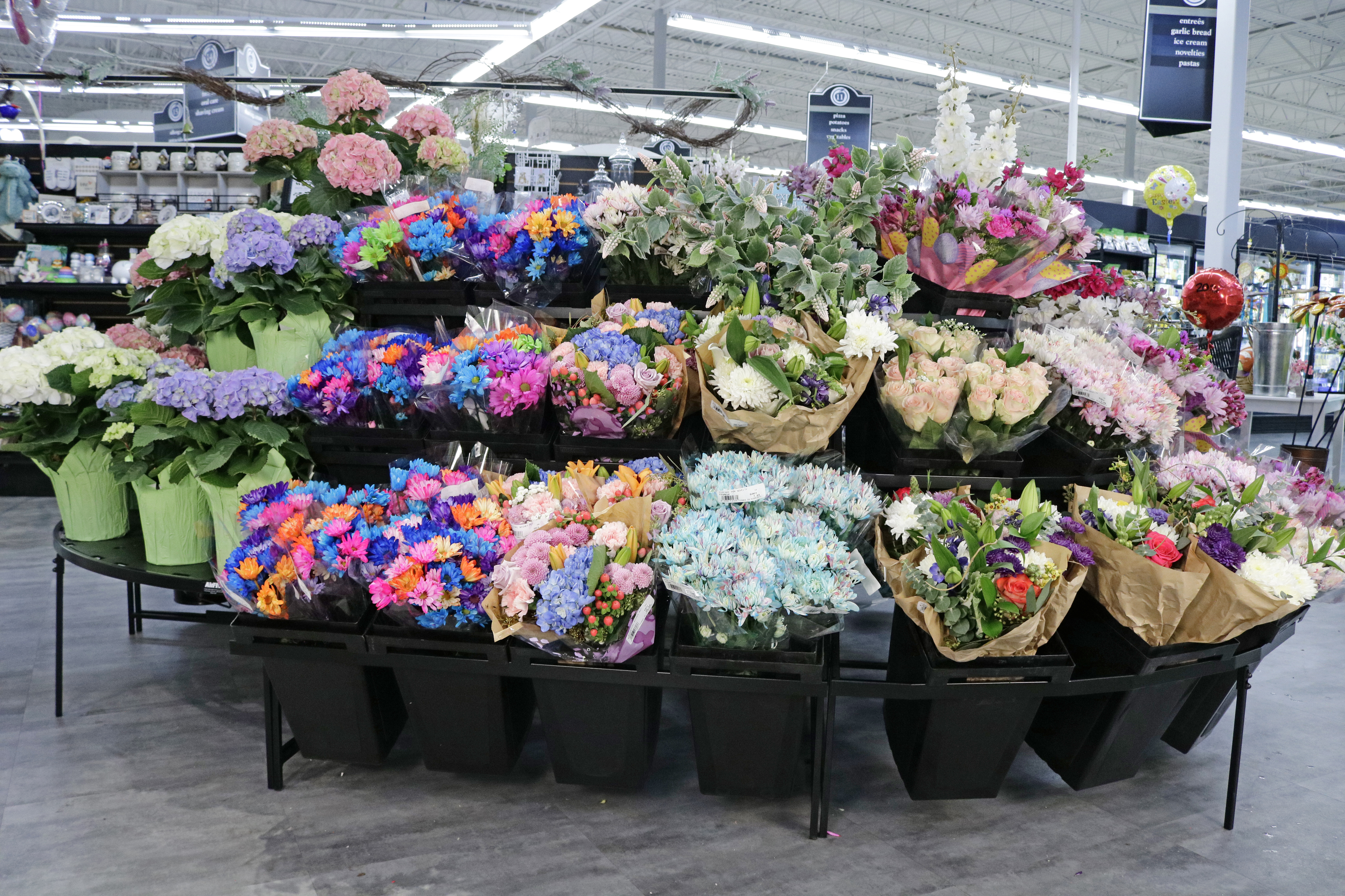 Sleek Island - Procona Buckets