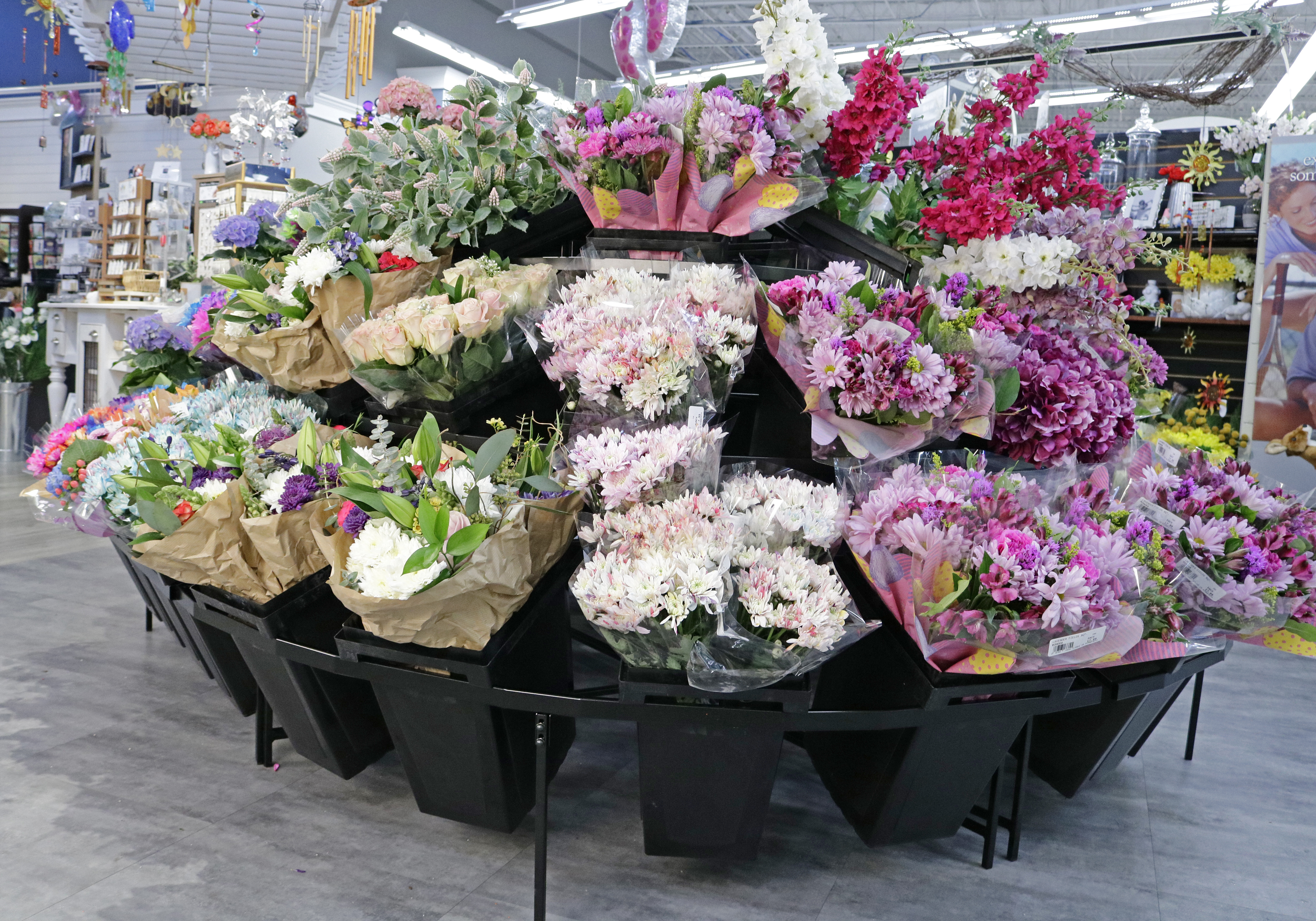 Sleek Island - Procona Buckets