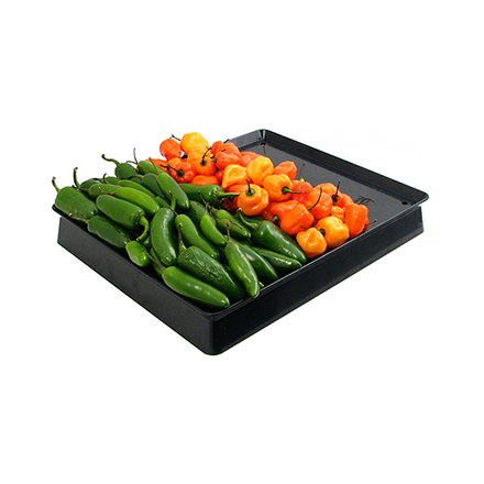 Double-Sided Bin