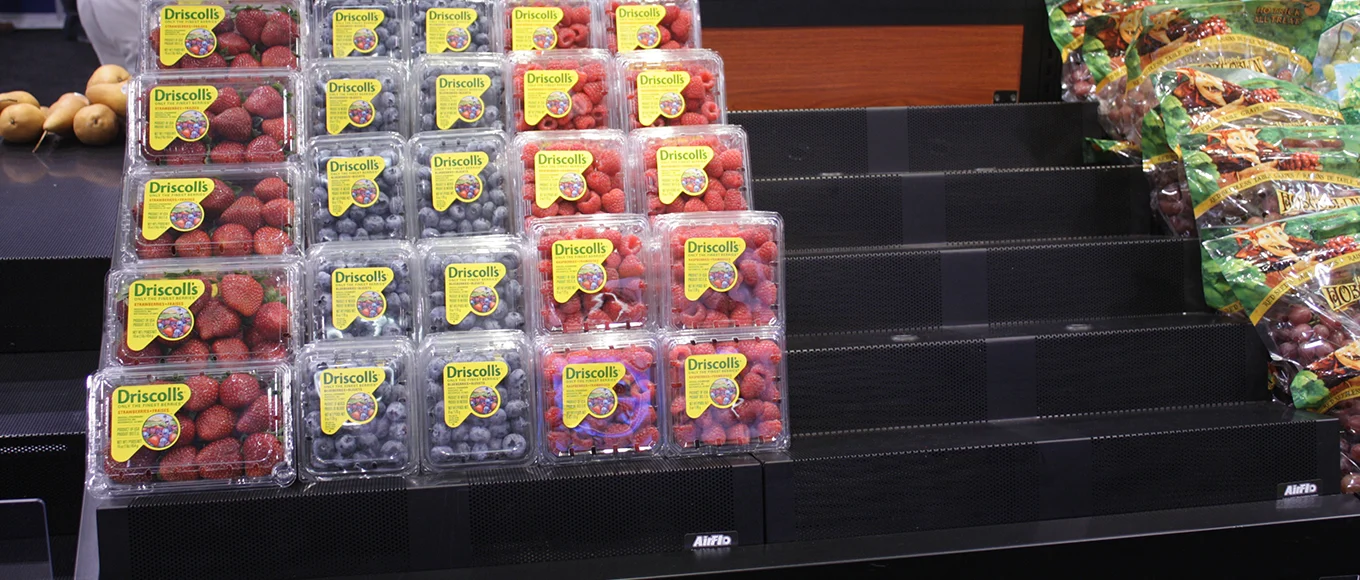 Carlson AirFlo — Merchandising Expertise 5 Step Reversible Melon Step Rack for Base of Cases and Island Displays