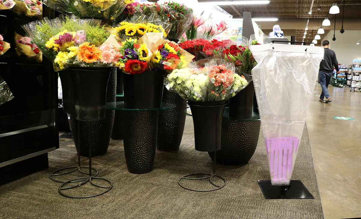 Designer Vases - Black