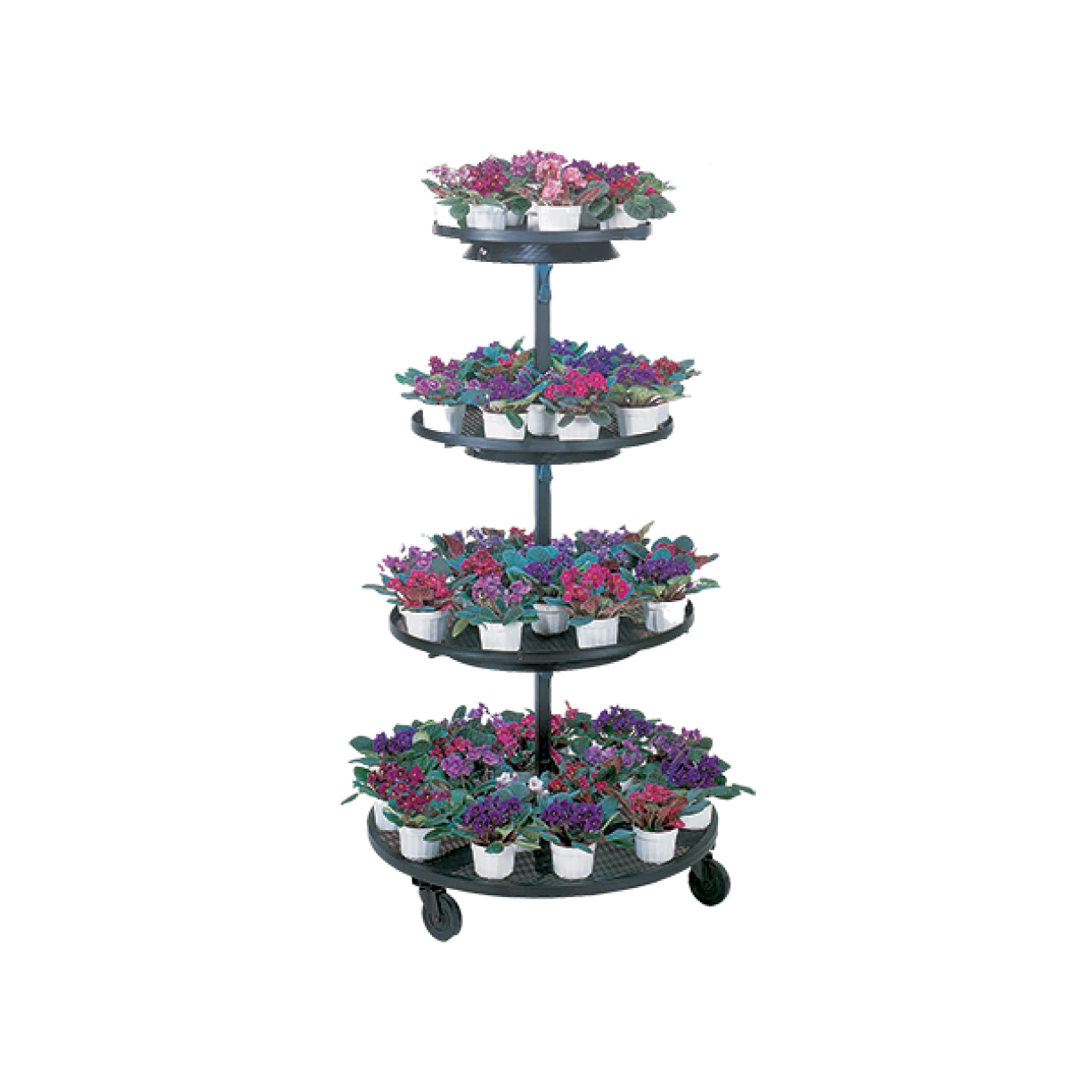 4-Tier Circular Stand - Mobile