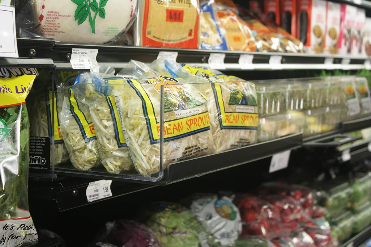 Sprouts / Mushroom Bins