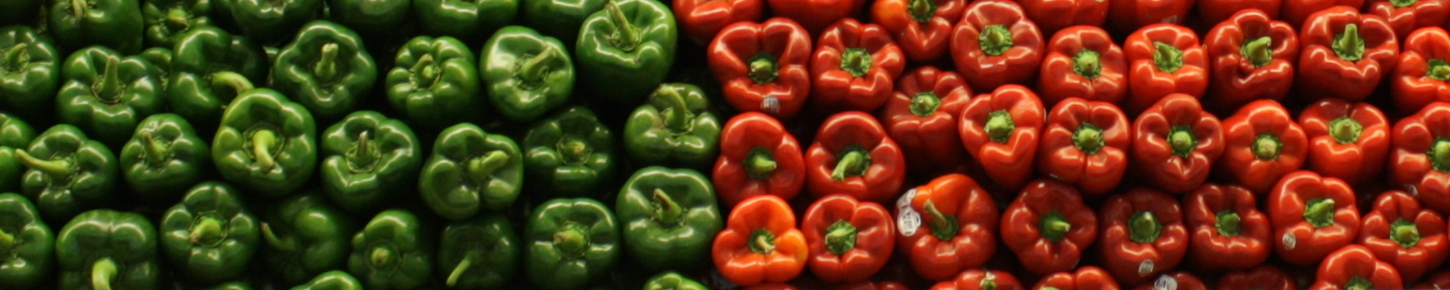 Two bell peppers besides each other showcasing the complimentary color combination 
