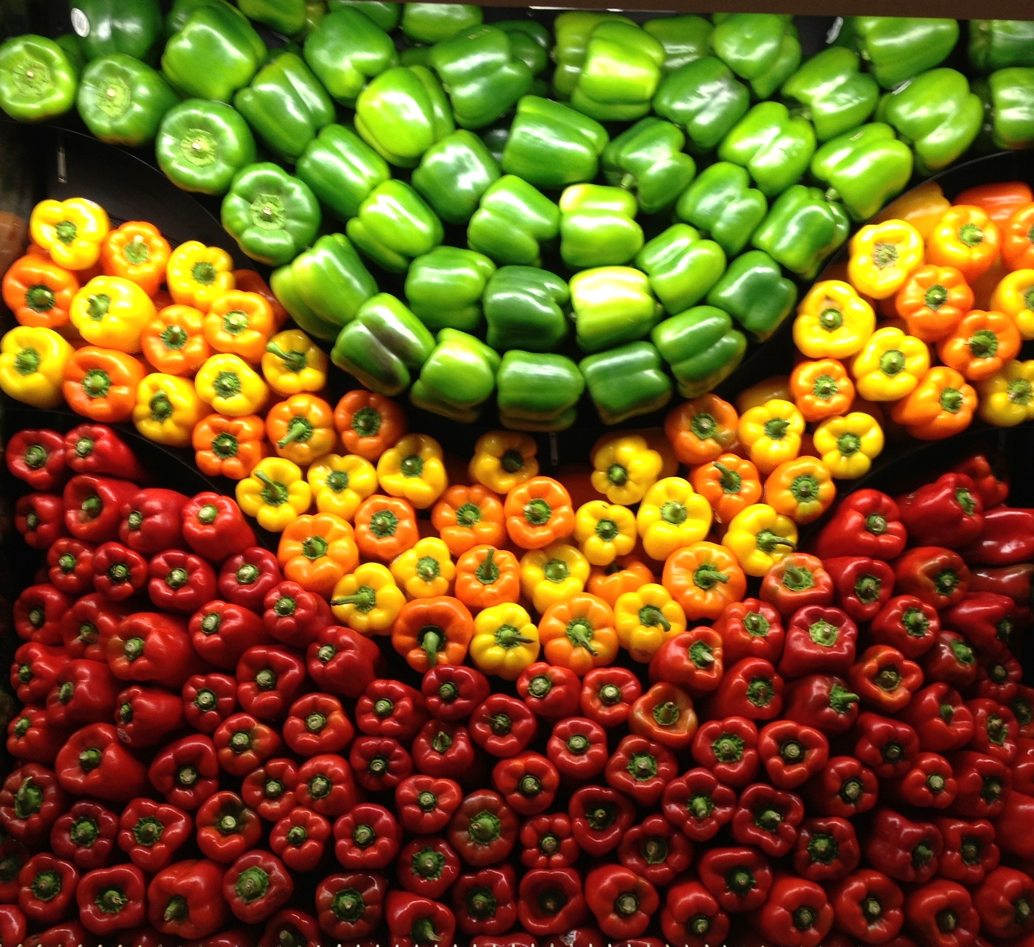 Bell peppers organized by color arranged into a wave format 